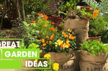 Three Ways to Grow More Greens | Gardening | Great Home Ideas