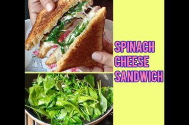 Spinach & Cheese Sandwich | Healthy & Quick Spinach Sandwich | Veg Sandwich Recipe