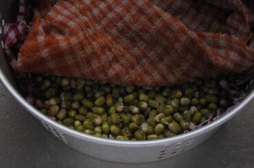 Bean sprouts grow at home for healthy food