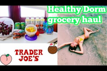 College grocery dorm haul:easy healthy meals l Vlogmas Day 7