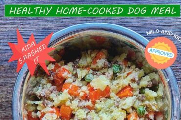 A DOG MEAL TO REMEMBER | HEALTHY HOME-COOKED DOG FOOD