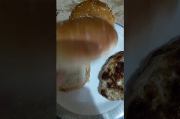 Final look of chicken burger recipe kabab. Weight loss recipe