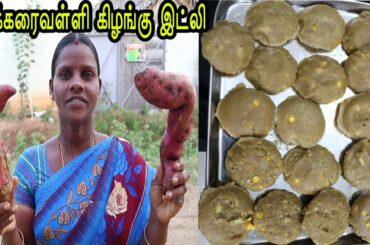 தினமும் ஒரே மாதிரி இட்லி தோசையா இனி இப்படி ஒருமுறை..சர்க்கரைவள்ளி கிழங்கு இட்லி / Sweet Potato Idli