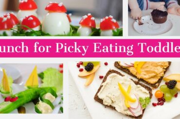 Lunch Ideas for Picky Eating Toddlers | Kids just Starting to Eat New Foods and Textures