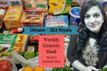 Vlog 10 - Weekly Grocery Haul October Week 3 - 2016 - Healthy Meals on a Budget - Naush Vlogs