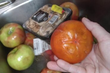 Dumpster dive-Healthy food yeah!!! So happy!!