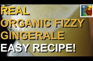 REAL Organic Fizzy Ginger Ale | Easy Recipe
