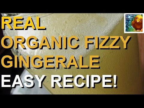 REAL Organic Fizzy Ginger Ale | Easy Recipe REAL Organic Fizzy Ginger Ale | Easy Recipe