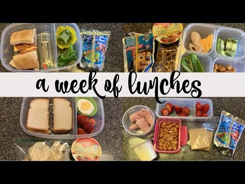 A WEEK OF LUNCHES || DECEMBER 2-6, 2019 || BUDGETED HUSBAND & SCHOOL LUNCH IDEAS A WEEK OF LUNCHES || DECEMBER 2-6, 2019 || BUDGETED HUSBAND & SCHOOL LUNCH IDEAS