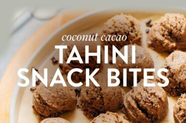 Coconut Cacao Tahini Snack Bites | Minimalist Baker Recipes