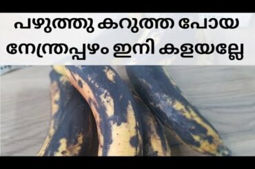 നേന്ത്രപ്പഴം ഉണ്ടെങ്കിൽ ഇപ്പോൾ തന്നെ ഈ നാലുമണി പലഹാരം തയ്യാറാക്കി നോക്കൂ | Evening Snack