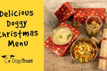 Try these dog-friendly festive food recipes 🎄🐾🍲 | Dogs Trust