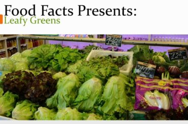 Food Facts Presents: Leafy Greens Healthy Salad Options For your Weight Loss Diet