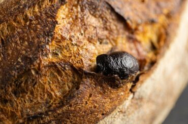 Sourdough Olive Bread | Recipe Olive Bread With Starter | Foodgeek
