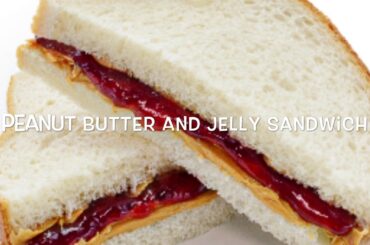 November 19th To November 24th Lunch Ideas