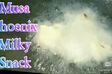 Musa Phoenix എന്താണെന്ന് pidikkitiyo????, 😃😃Healthy Snack Recipes 12 December 2019