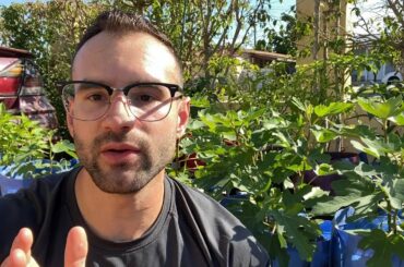 Plant Care Package Received! Shoutout to Salad Beard Farms