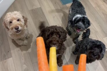 HOW TO COOK A DELICIOUS VEGAN CHRISTMAS DINNER RECIPE | VLOGMAS #10