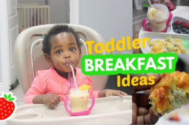 TODDLER BREAKFAST IDEAS | MEAL IDEAS FOR TODDLERS & KIDS | Chante Shivaughn