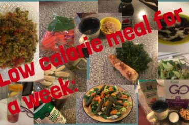 Low Calorie Meal for a Week