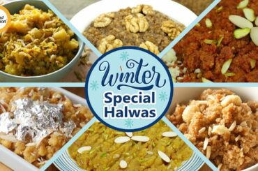 Winter Special Halwa Recipes By Food Fusion