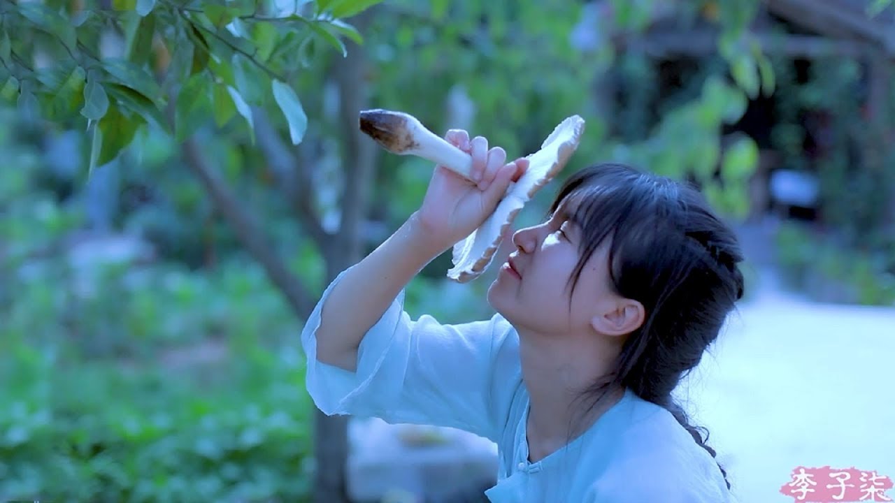 How to make a Chinese delicious mushroom meal? 甚于肉味的治愈美食,带些雨露的清甜——鸡枞菌|Liziqi channel How to make a Chinese delicious mushroom meal? 甚于肉味的治愈美食,带些雨露的清甜——鸡枞菌|Liziqi channel