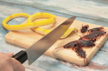 Making Salad from Monster Bugs | Crazy Stop Motion Cooking | ASMR 4K