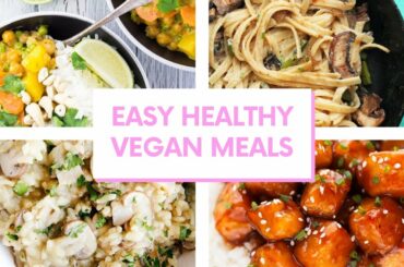 10+ EASY VEGAN HEALTHY RECIPES
