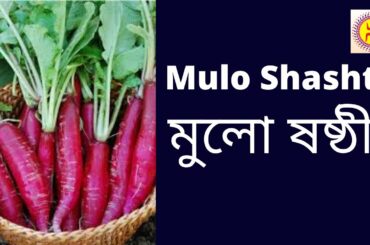 Mulo Shashti | মুলো ষষ্ঠী@Veg Recipes Healthy Bhi Tasty Bhi