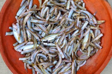 Rare Fish for Increase High Blood | Healthy Village Fish Recipe Prepared by Grandmother