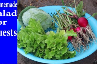 Homemade salad for Guests at home kitchen gardening