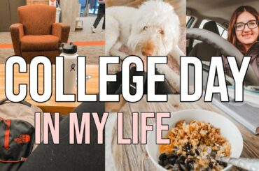 college day in my life | healthy meals, anxiety, studying, and youtubers quitting their 9-5