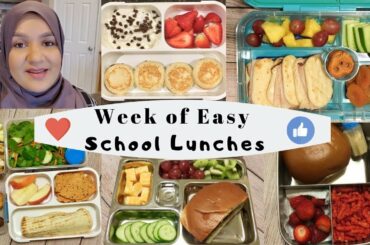 Week of School Lunch Ideas & What they Ate! Planetbox First Impression  - Pakistani Mom