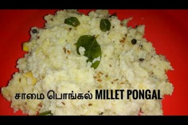 சத்தான சாமை வெண்பொங்கல் -  samai ven Pongal - healthy millet recipes in Tamil - Zeenath's world