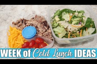 A Week of Cold Lunch Ideas | What My Husband Took for Lunch | December 2019
