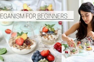 BEGINNER'S GUIDE TO VEGANISM » how to go vegan