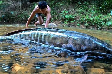 Yummy Biggest Fish Cooking Salad Recipe in Forest