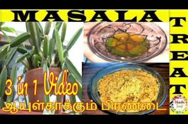 Pirandai | Pirandai Health Benifits | Pirandai thuvaiyal | Pirandai for weight loss l Masala Treat