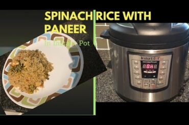 How to make Spinach Paneer Rice in instant pot / Easy Healthy Lunch/ Dinner choice