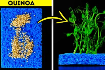 25 AMAZING HACKS FOR FOOD LOVERS