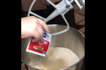 %100 Whole Wheat Organic Bread Recipe