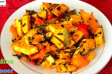 Mint Paneer Stir Fry - పుదీనా పన్నీర్ ఫ్రై - Dhaba Style Paneer Starter - Healthy Apptizer Recipes
