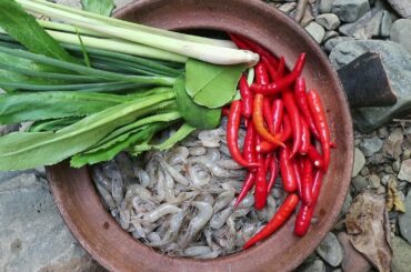 River prawns Soup with Coconut water for Lunch food ideas - Prawns for Food forest & eater # 93