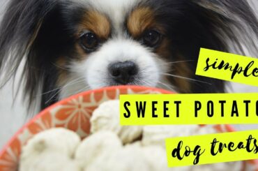 Sweet Potato Dog Treats - Cinnamon & Ginger - Low Calorie Dog Treats