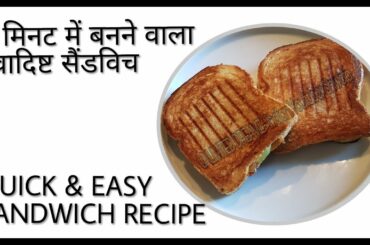 स्वादिष्ट सैंडविच 5 मिनट में बनायें | Vegetable Sandwich  in 5 minutes | Healthy & Tasty Breakfast |