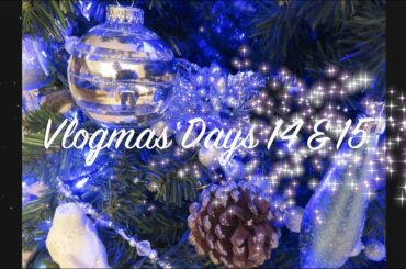 Vlogmas Days 14 & 15 | Lunch Prep | Chinese Chicken Salad
