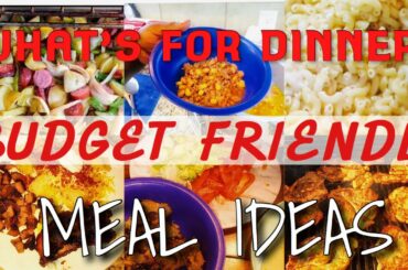 WHAT’S FOR DINNER | BUDGET FRIENDLY MEAL IDEAS | EASY DINNER IDEAS | #dinnerideas #budgetfriendly