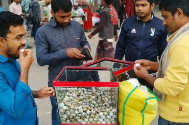 Quail Eggs - Healthy Food Boiled Egg Street Food - Koyel Bird Eggs Selling 5 Piece @ Tk 20