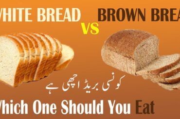 Difference Between White Bread and wheat Bread which one is Better for you