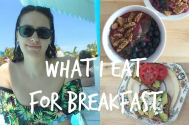 🍉4 HEALTHY BREAKFAST IDEAS .:. (vegetarian)